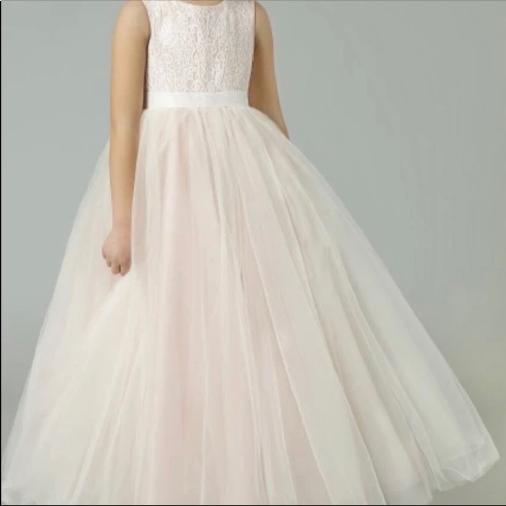 David’s Bridal Flower Girl Dress